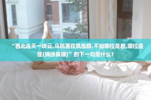 “西北连天一块云,乌鸦落在凤凰群,不知哪位是君,哪位是臣(锦绣良缘)”的下一句是什么？