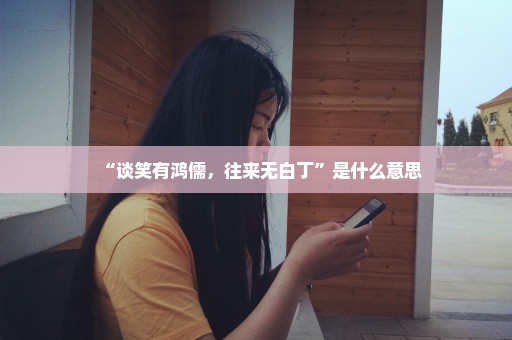 “谈笑有鸿儒，往来无白丁”是什么意思