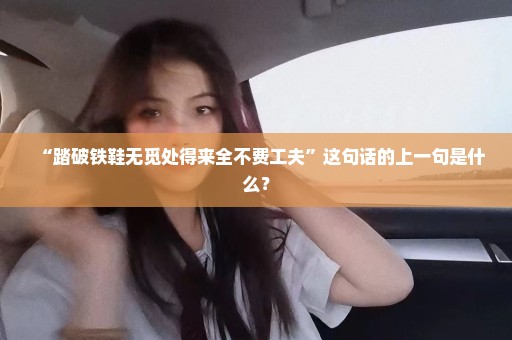 “踏破铁鞋无觅处得来全不费工夫”这句话的上一句是什么？