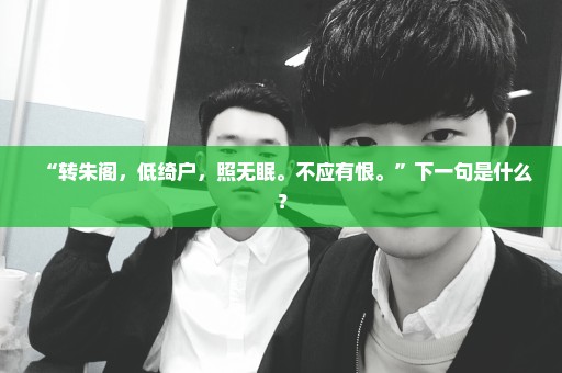 “转朱阁，低绮户，照无眠。不应有恨。”下一句是什么？