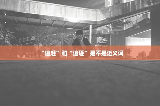“追赶”和“追逐”是不是近义词