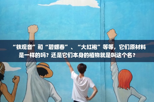 “铁观音”和“碧螺春”、“大红袍”等等，它们原材料是一样的吗？还是它们本身的植物就是叫这个名？