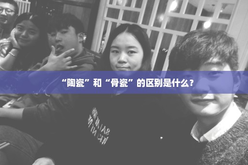 “陶瓷”和“骨瓷”的区别是什么？