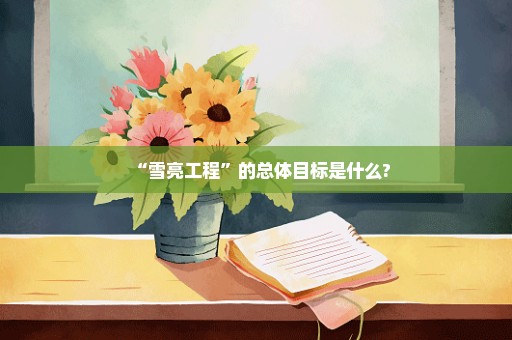 “雪亮工程”的总体目标是什么?