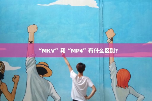“MKV”和“MP4”有什么区别？
