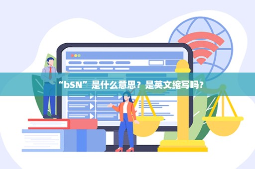 “bSN”是什么意思？是英文缩写吗？
