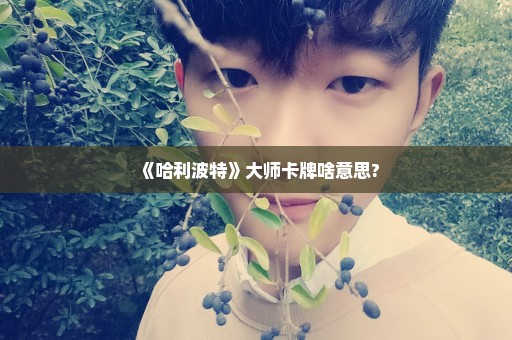 《哈利波特》大师卡牌啥意思?
