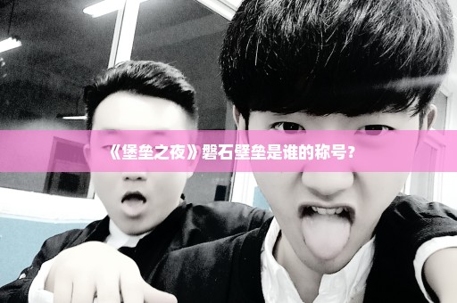 《堡垒之夜》磐石壁垒是谁的称号？