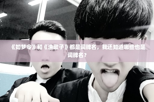 《如梦令》和《渔歌子》都是词牌名，我还知道哪些也是词牌名？