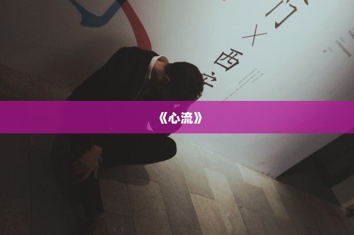 《心流》