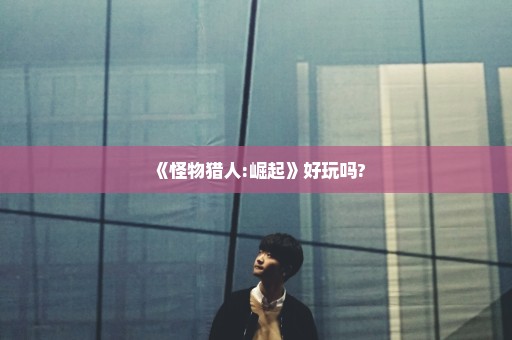 《怪物猎人:崛起》好玩吗?