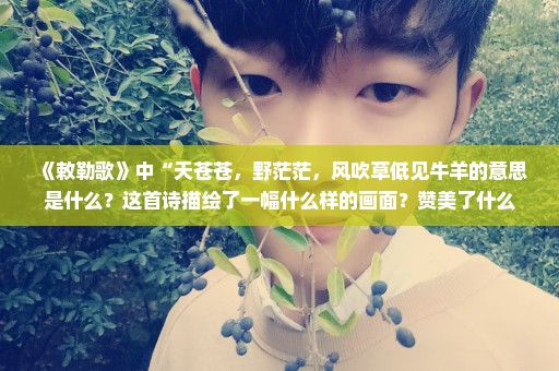 《敕勒歌》中“天苍苍，野茫茫，风吹草低见牛羊的意思是什么？这首诗描绘了一幅什么样的画面？赞美了什么