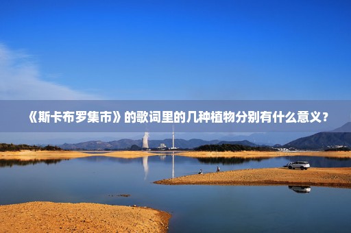 《斯卡布罗集市》的歌词里的几种植物分别有什么意义？