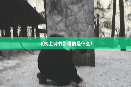 《枕上诗书》讲的是什么？