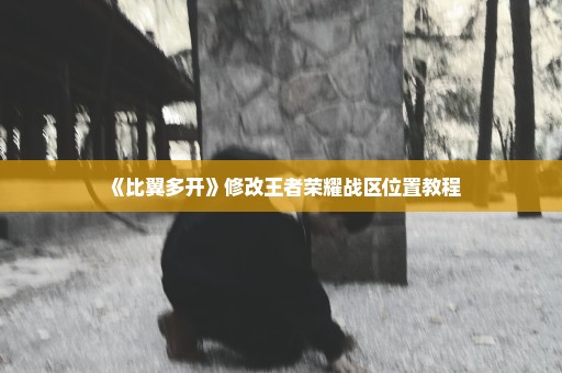 《比翼多开》修改王者荣耀战区位置教程
