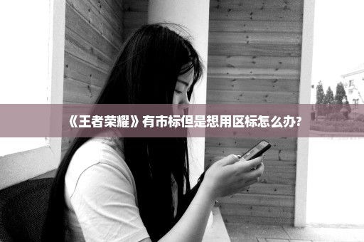 《王者荣耀》有市标但是想用区标怎么办?