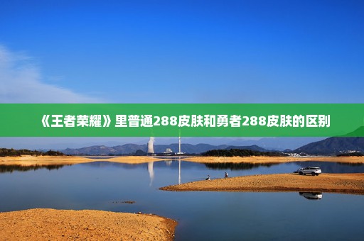 《王者荣耀》里普通288皮肤和勇者288皮肤的区别