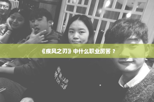 《疾风之刃》中什么职业厉害 ？