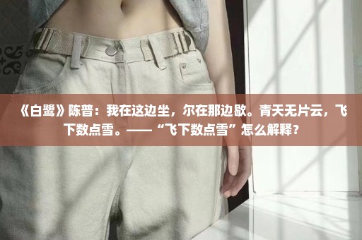 《白鹭》陈普：我在这边坐，尔在那边歇。青天无片云，飞下数点雪。——“飞下数点雪”怎么解释？