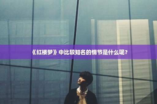 《红楼梦》中比较知名的情节是什么呢？