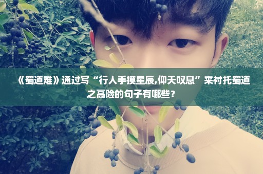 《蜀道难》通过写“行人手摸星辰,仰天叹息”来衬托蜀道之高险的句子有哪些？