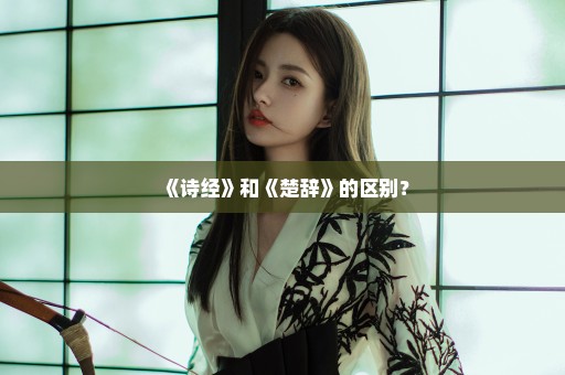 《诗经》和《楚辞》的区别？