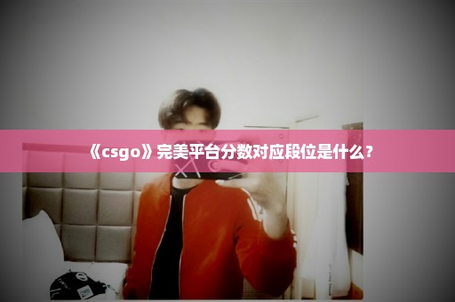 《csgo》完美平台分数对应段位是什么？