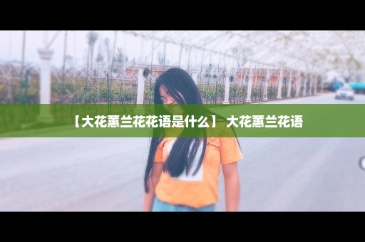 【大花蕙兰花花语是什么】 大花蕙兰花语