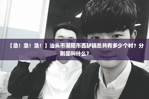 【急！急！急！】汕头市潮阳市西胪镇总共有多少个村？分别是叫什么？