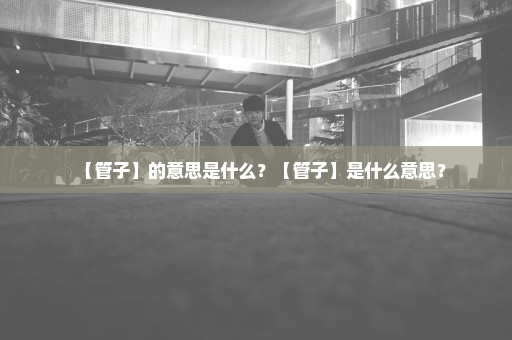 【管子】的意思是什么？【管子】是什么意思？