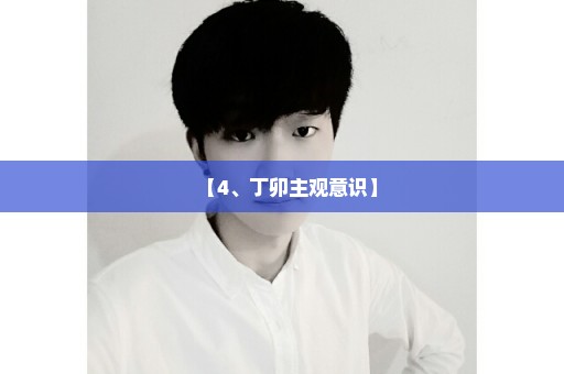 【4、丁卯主观意识】