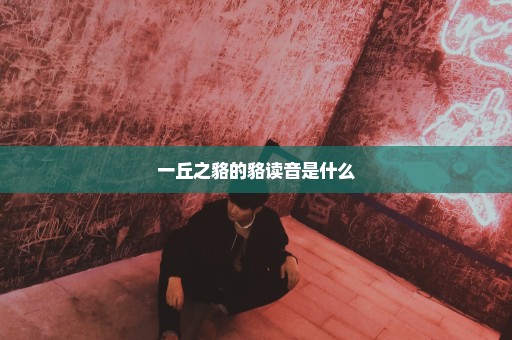 一丘之貉的貉读音是什么