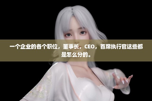 一个企业的各个职位，董事长，CEO，首席执行官这些都是怎么分的。