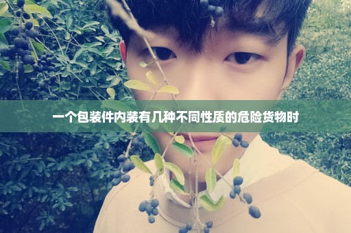 一个包装件内装有几种不同性质的危险货物时