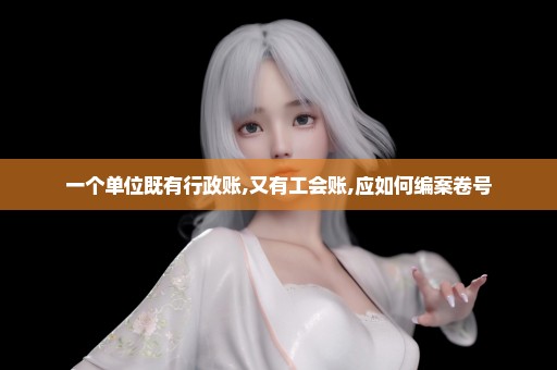 一个单位既有行政账,又有工会账,应如何编案卷号