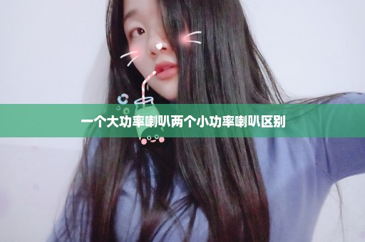 一个大功率喇叭两个小功率喇叭区别