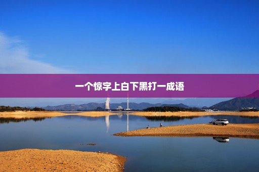 一个惊字上白下黑打一成语