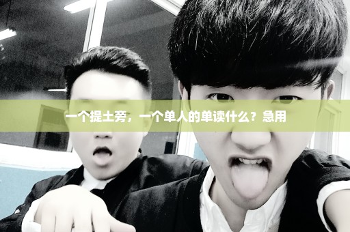 一个提土旁，一个单人的单读什么？急用