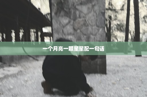一个月亮一颗星星配一句话