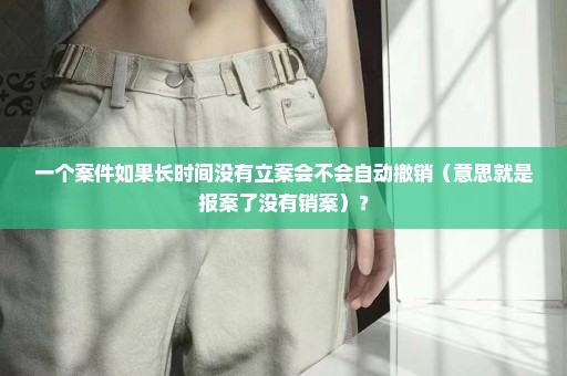 一个案件如果长时间没有立案会不会自动撤销（意思就是报案了没有销案）？