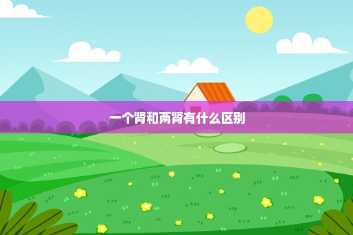 一个肾和两肾有什么区别