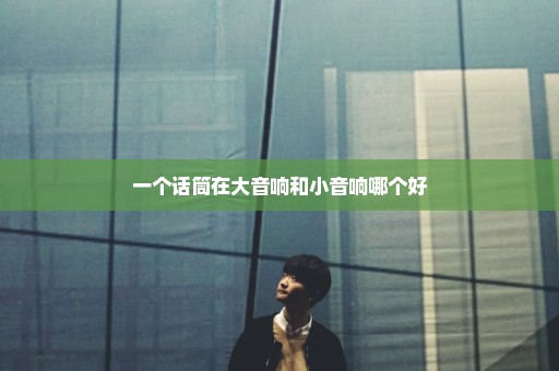 一个话筒在大音响和小音响哪个好