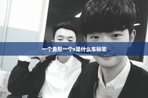 一个鱼形一个s是什么车标志