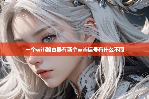 一个wifi路由器有两个wifi信号有什么不同