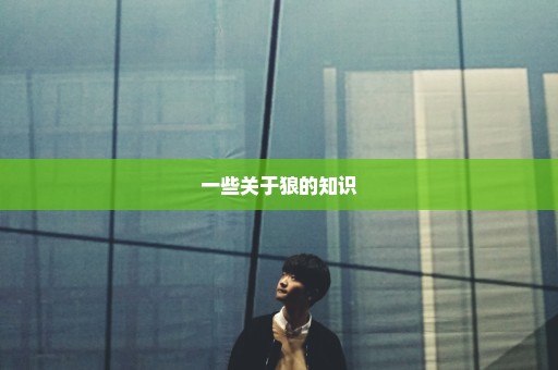 一些关于狼的知识