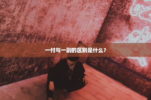 一付与一副的区别是什么？