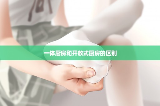 一体厨房和开放式厨房的区别