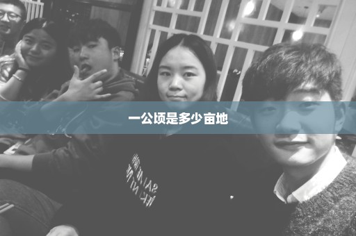 一公顷是多少亩地