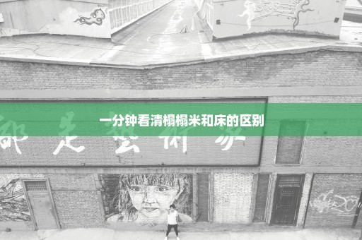 一分钟看清榻榻米和床的区别