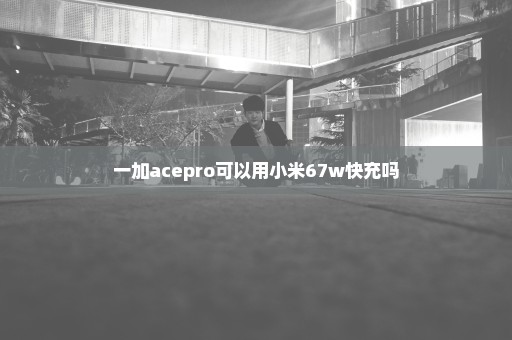 一加acepro可以用小米67w快充吗